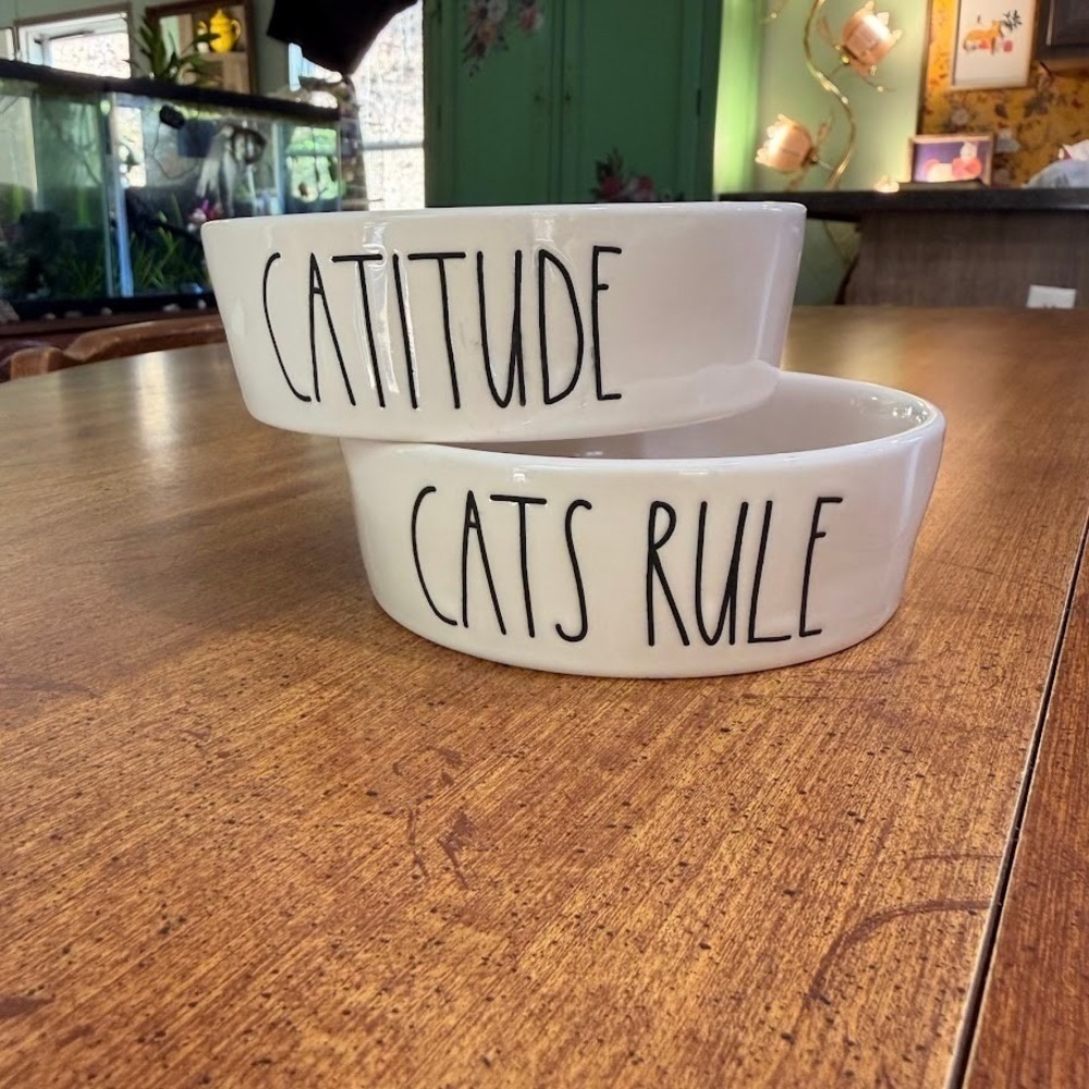 Rae Dunn Cat Bowls Set 2 Catitude Cats Rule White Ceramic Pet Food Dishes Bowl - Picture 2 of 9